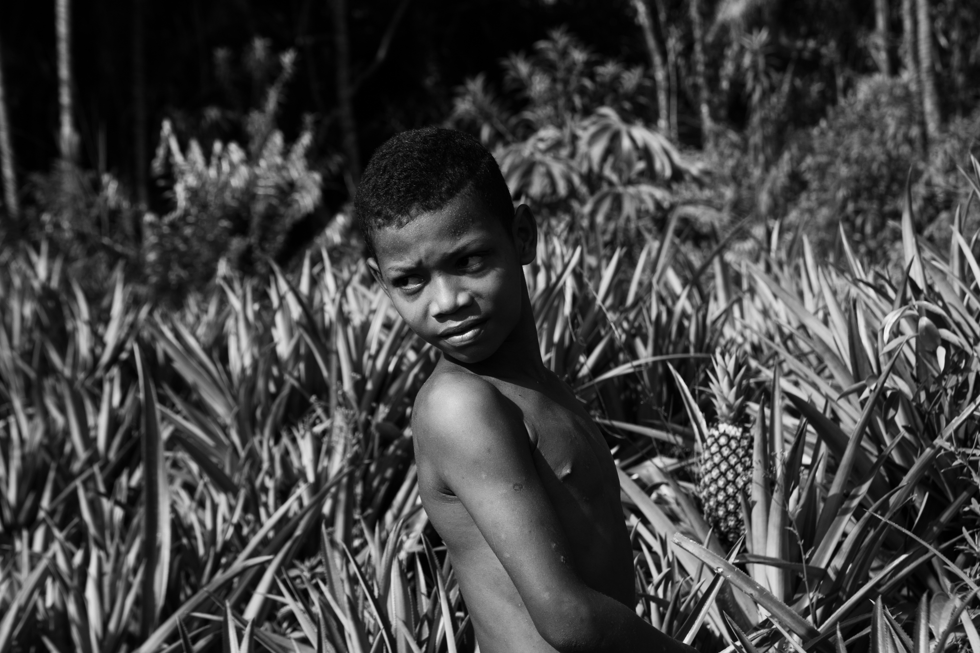 Pineapple Boy, Marajó Island