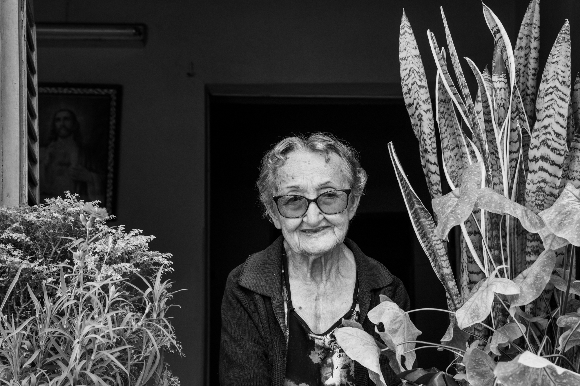 The Lady and the snake plant