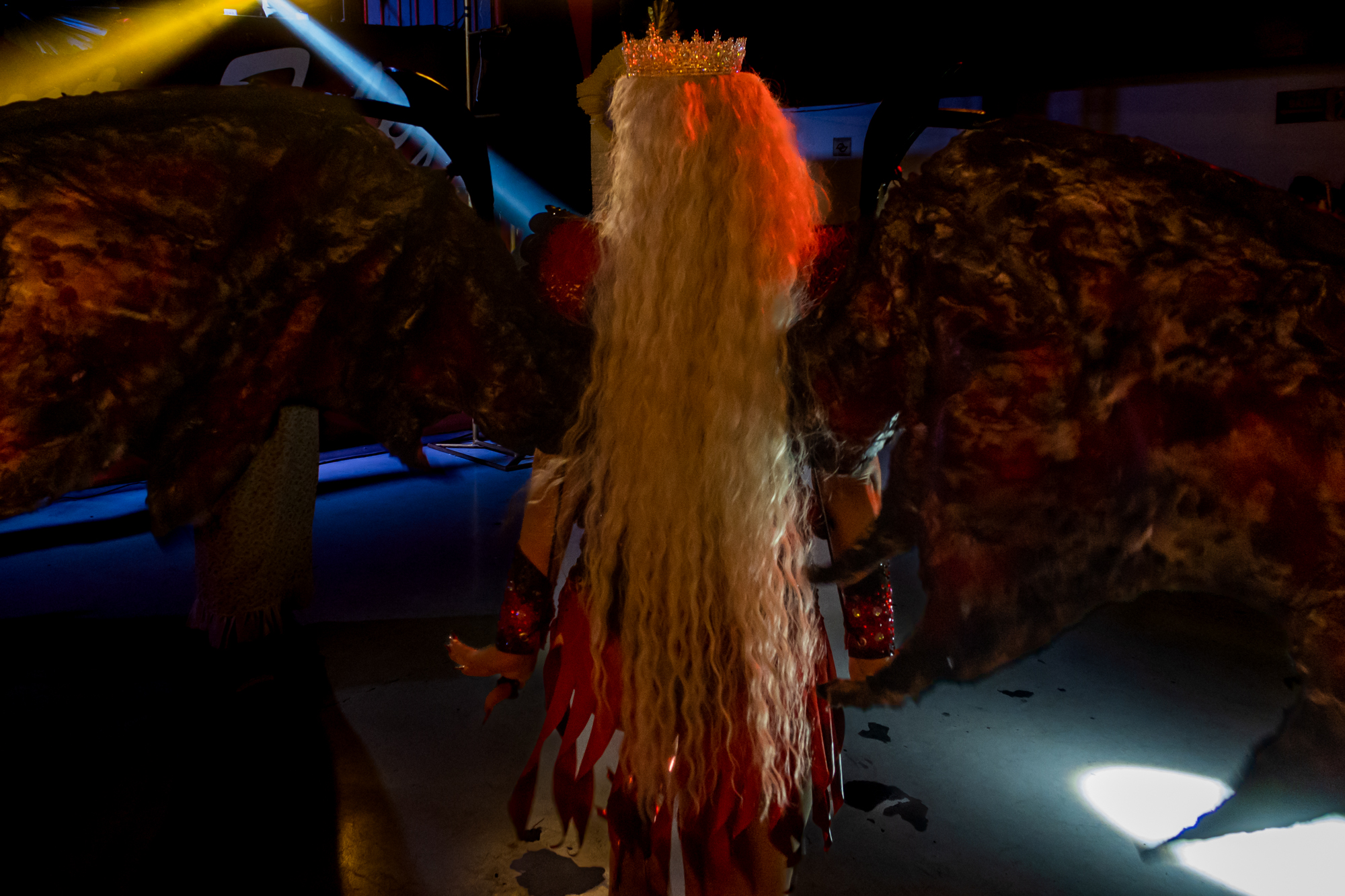 the wing